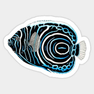 Angelfish Sticker